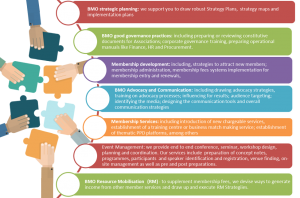 ATEAS-BMO-and-capacity-Building